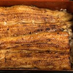 鰻はし本 - 裏横山さんのうなぎの鰻重ろ