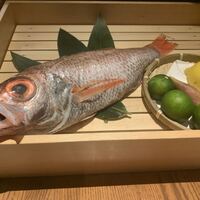 のどぐろ専門 銀座 中俣 - 