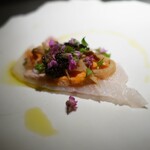 エクアトゥール - 