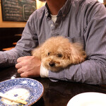 旬采 - お箸でいただけるんですネ！