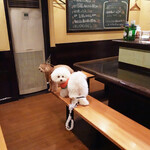 旬采 - ママもスマホで撮影〜♬