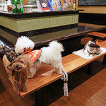 旬采 - それぞれの方角