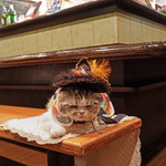 旬采 - 帽子が似合うミーちゃん