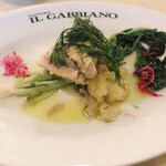 Iru Gabbiano - 