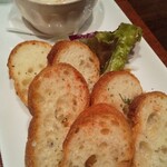 cicoria - 