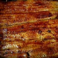 鰻割烹 伊豆栄 梅川亭 - 