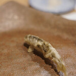 うを徳 - 江州琵琶湖（あうみびはこ）"本諸子（ほんもろこ）"の天麩羅（てんぷら）、後（うしろ）