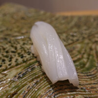 鮨こゝろ - （2019年11月）アオリイカ