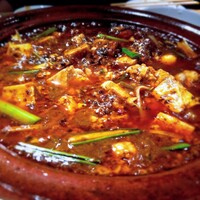 雪梅花 菜根譚 -  雪梅花 菜根譚 -