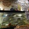 もぐり漁師の店 天草海士宴 本店