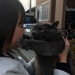 麺屋豚道場ぶた壱 - 帰って可愛い猫にオヤツヽ(´o｀
      
      
      