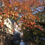 松屋 - 高瀬川の紅葉