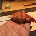 すし 久遠 くまがい - 