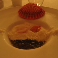 アルテリーベ - 