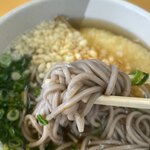 壇之浦パーキングエリアレストラン - そばの麺