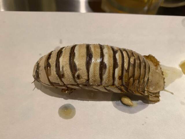 虫が食べたきゃここへ行け 米とサーカス 渋谷パルコ店 By なにわのくろ 獣肉酒家 米とサーカス 渋谷パルコ店 渋谷 居酒屋 食べログ