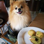 スーリール - 【2019.12】わんこメニューのコロコロ団子(500円)