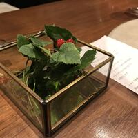 草片 - 