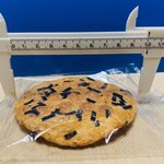 草加 葵の倉 - 直径は10㎝になります♫