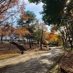 スイーツガーデン ユウジアジキ - 