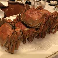 中国飯店 市ヶ谷店 - 