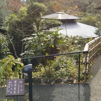 伊豆高原 城ケ崎温泉 花吹雪 - 鄙の湯までの小径