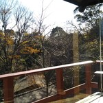 伊豆高原 城ケ崎温泉 花吹雪 - 席からの眺め