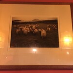 Seamus O'Hara Irish Pub - 羊の写真