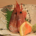 肴家 鮮 - ボタン海老刺身１０００円