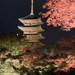 日本料理 とくを - 