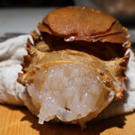 コントワール フー - 