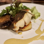 キャトルラパン - 