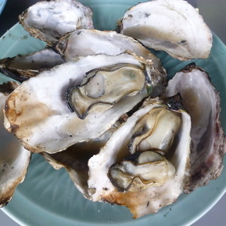 中山牡蠣養殖所