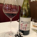 stesso e Magari CHIC - 2019/12