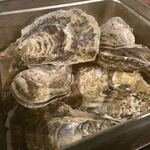 かきとモツのがんがん亭 - 