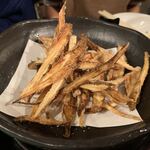 かきとモツのがんがん亭 - 