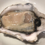 Oyster Bar ジャックポット - 