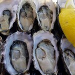 Sydney Fish Market - 生ガキ