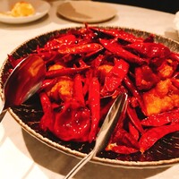 CINA New Modern Chinese - 