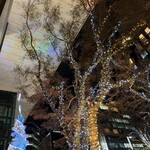 山陰海鮮炉端かば - 東京スクエアガーデンのクリスマスライトアップ！