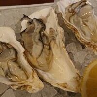 ざくろ 銀座店 - 