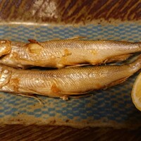 ざくろ 銀座店 - 