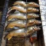 旬ものと日本酒 とみ笑 - 信濃川の落ち鮎