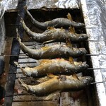 旬ものと日本酒 とみ笑 - 信濃川の落ち鮎