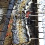 旬ものと日本酒 とみ笑 - 児島湾の青鰻２