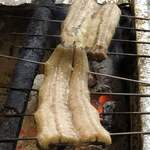 旬ものと日本酒 とみ笑 - 児島湾の青鰻２