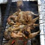 旬ものと日本酒 とみ笑 - フランスの鶉