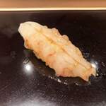 鮨みなと - ボタンエビ