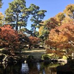 Asahizushi Souhonten - 大田黒公園