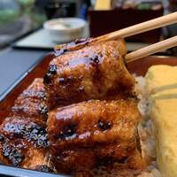 炭焼きうなぎ・かしわ 登河 - 